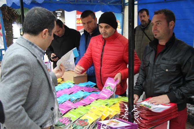 Kocaeli’de Lale Soğanı Satışı Başladı