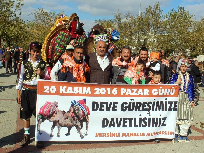 Güreşçi Develer Şehir Turu Attı