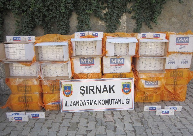 Şırnak’ta 206 Bin 685 Paket Kaçak Sigara Ele Geçirildi