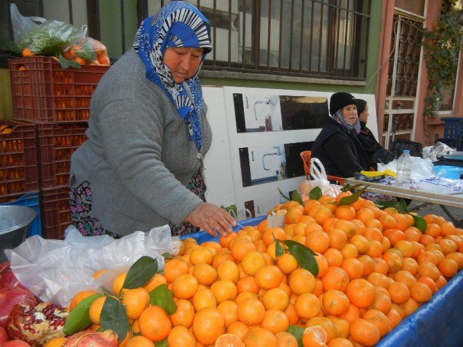 Mandalina Üreticileri Dert Küpü