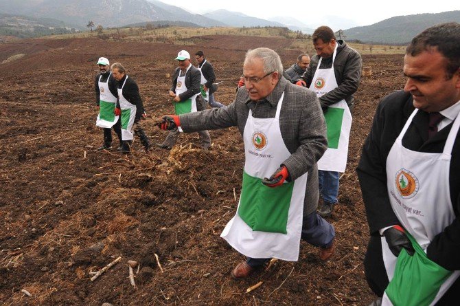 34 Milyon Tohum Toprakla Buluştu