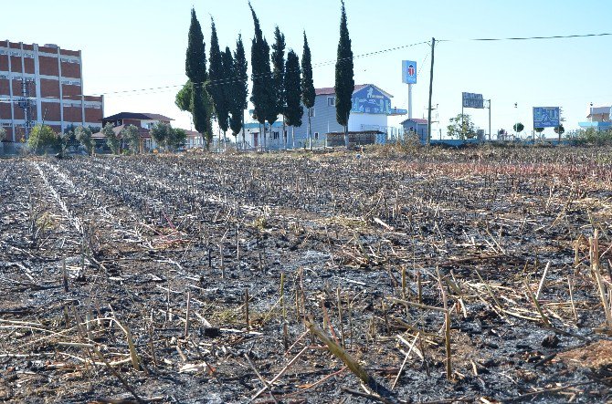 Tarlada Çıkan Yangın Benzinliği Tehdit Edince Korku Dolu Anlar Yaşandı