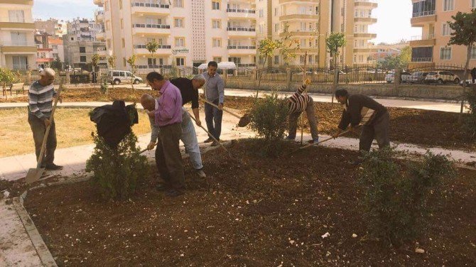 Parklarda Sonbahar Bakımı Yapılıyor