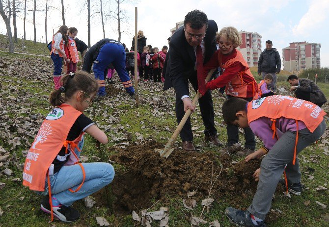 Atakum’da Yeşil Rekor