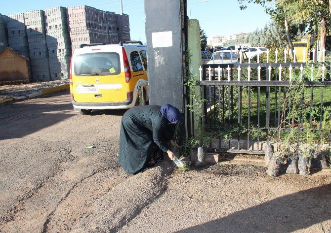 Kayyum Vatandaşları İhya Etmeye Devam Ediyor