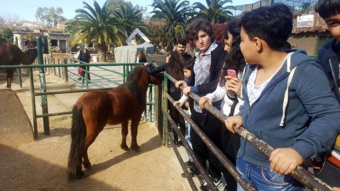 Beyoğlulu Öğrenciler Darıca Hayvanat Bahçesi’ni Gezdi