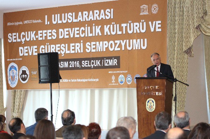 Uluslararası Selçuk-efes Devecilik Kültürü Ve Deve Güreşleri Sempozyumu Başladı