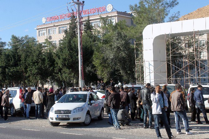 Mardin’de Kayyum Resmen Göreve Başladı