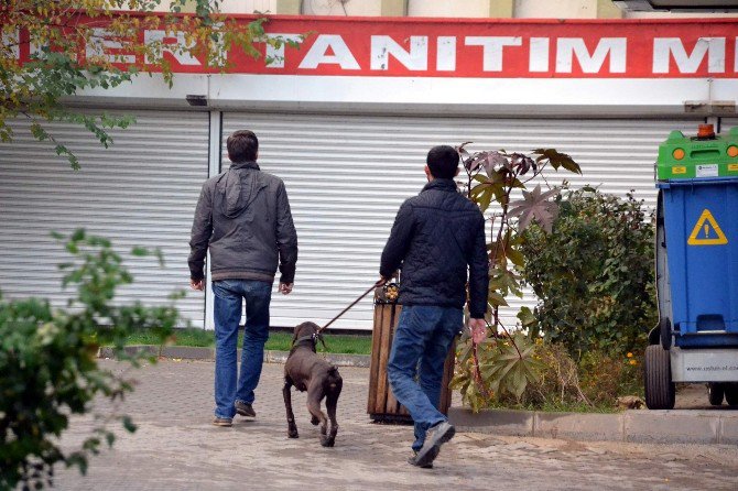 Siirt’te Atanan Kayyum Göreve Başladı