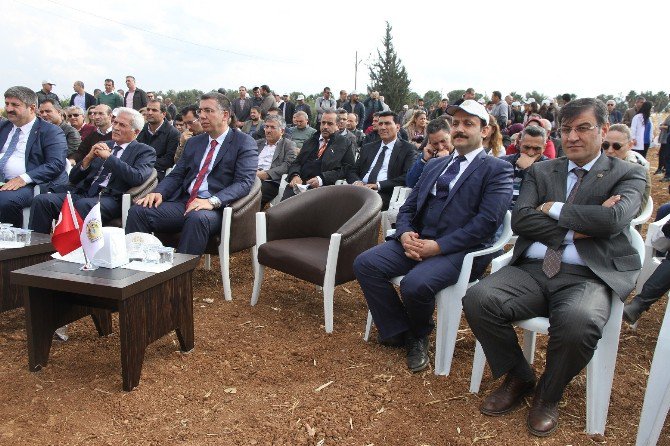 Şanlıurfa’da Ulusal Mısır Tarla Günü Düzenlendi