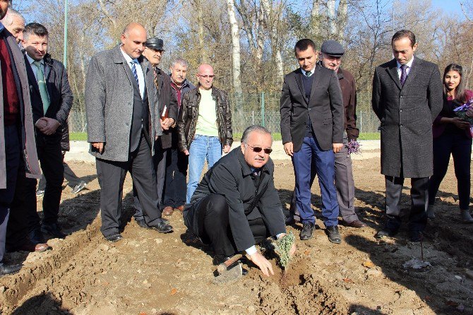 Edirne ‘Lavanta’ Diyarı Olacak