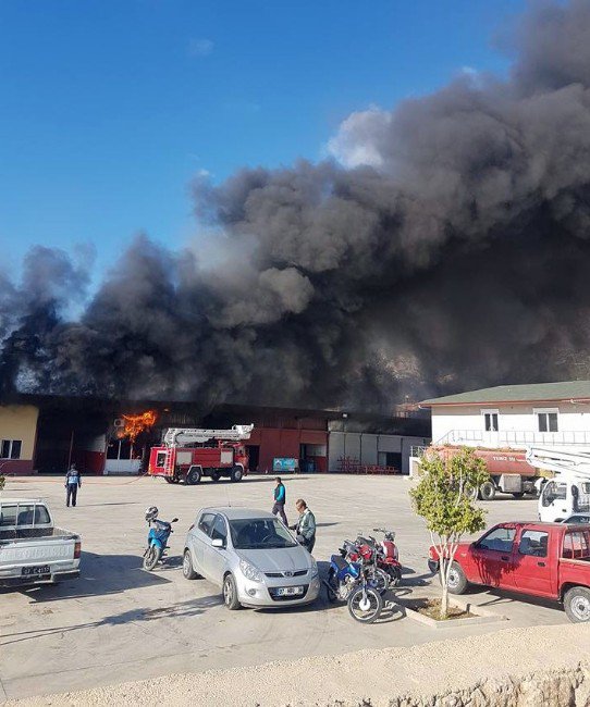 Alanya’da Korkutan Çifte Yangın