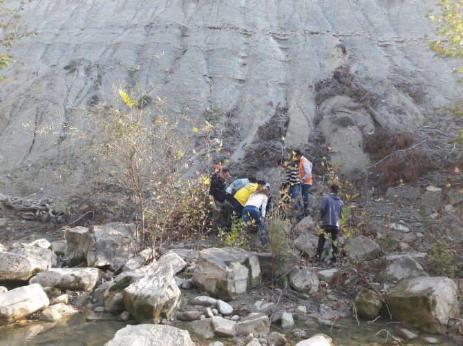 Manzara Seyrederken Uçurumdan Yuvarlandı