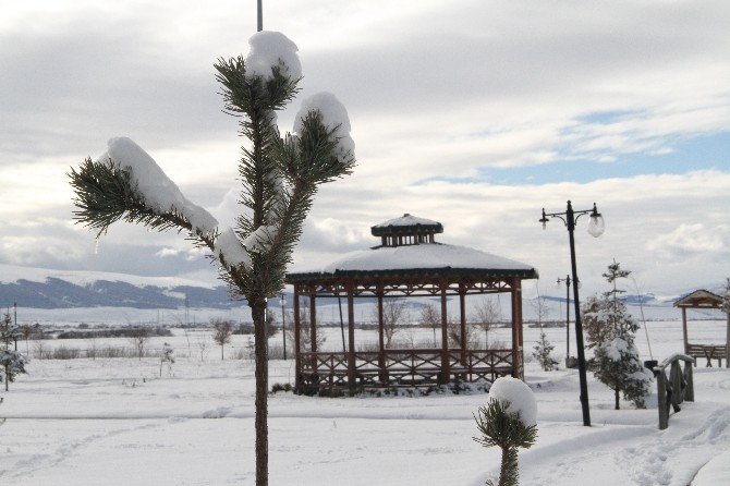 Ardahan’da Buz Tuttu