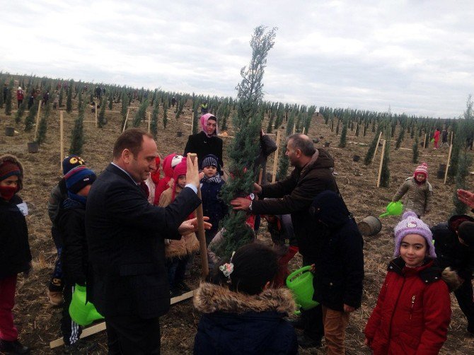 Minik Öğrenciler Yaşanabilir Bir Dünya İçin Fidan Dikti