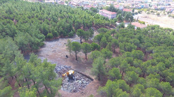 Büyükşehir’den Tavas’a Kent Ormanı