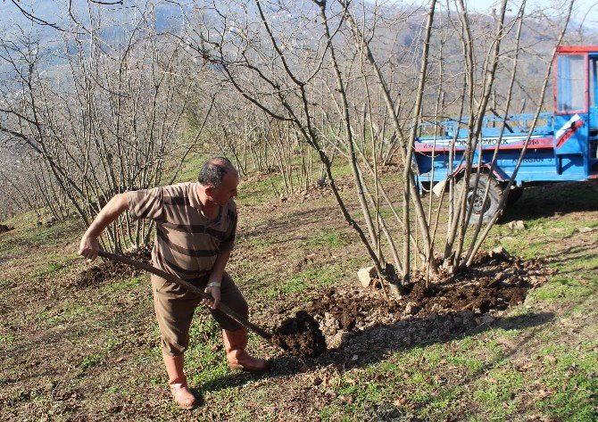 Kimyasal Gübre Yerine ’Çiftlik Gübresi’