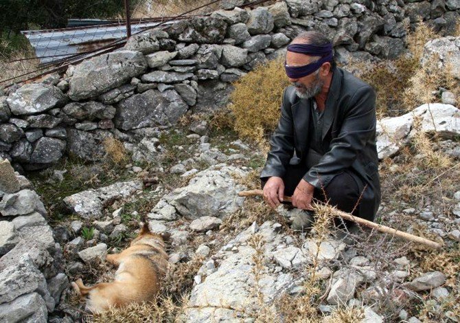 Köpeği Zehirlenen Görme Engelli Vatandaşa Büyükşehir’den Yeni Can Dostu