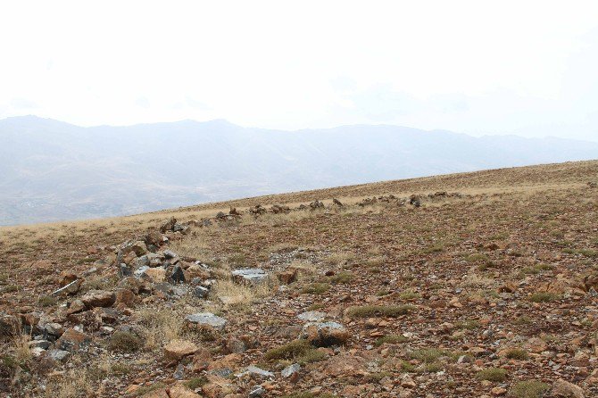 Orman Ve Su İşleri Bakanlığı’ndan Ahde Vefa