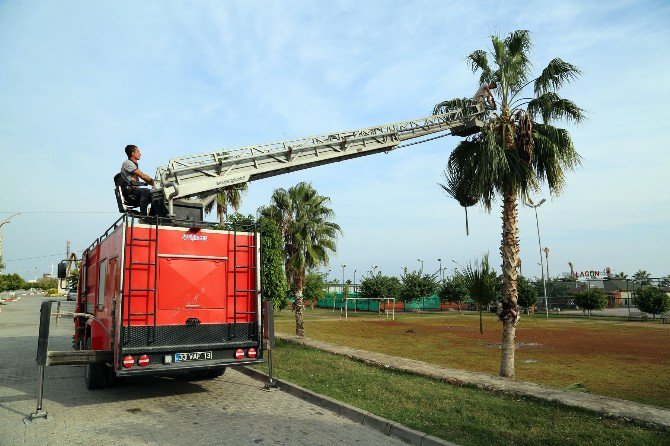 Erdemli’de Park Ve Yeşil Alanlara Kışlık Bakım