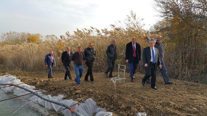 Su Ürünleri Yetiştiricilik Tesisinde İncelemeler