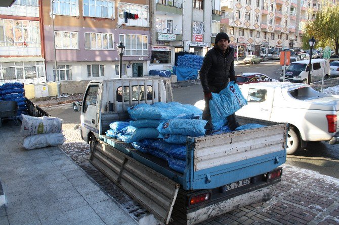 Dolar Yükseldi, Kömür Fiyatları Arttı