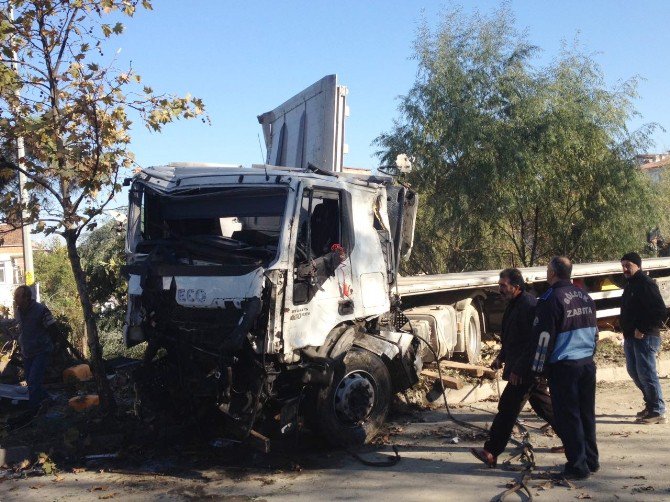 Yoldan Çıkan Tır Ağaçları Devirerek Durabildi