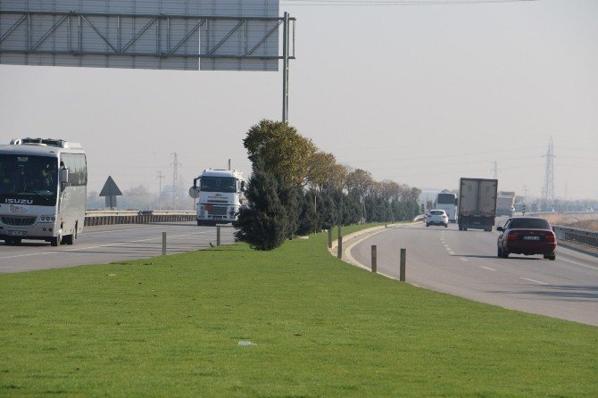 11 Kilometrelik Yola Peyzaj Çalışması