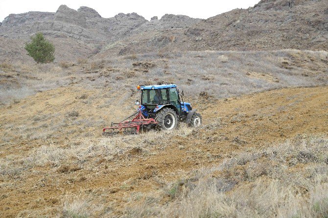 Orman Ve Su İşleri Bakanlığından Yaban Hayvanlarına Destek