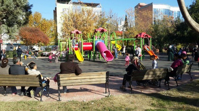 Güneşli Havayı Gören Parklara Koştu