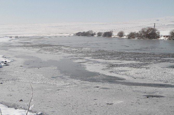 Kura Nehri Dondu