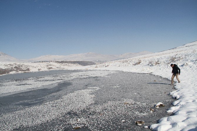 Kura Nehri Dondu