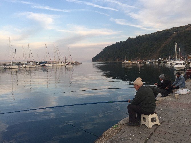 Güneşi Gören Oltacılar Trilye’ye Akın Etti