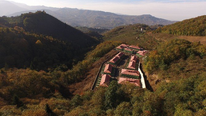 Trabzon Doğal Yaşam Alanı Ve Sokak Hayvanları Bakım Merkezinde Sona Gelindi