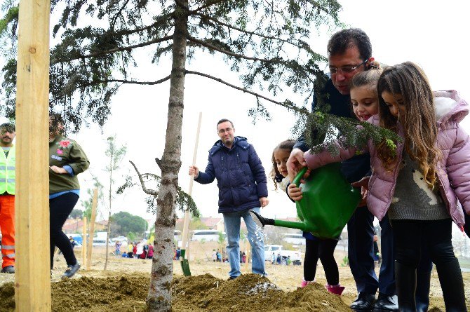 Çocuklar Beylikdüzü’ne 3 Bine Yakın Ağaç Dikti