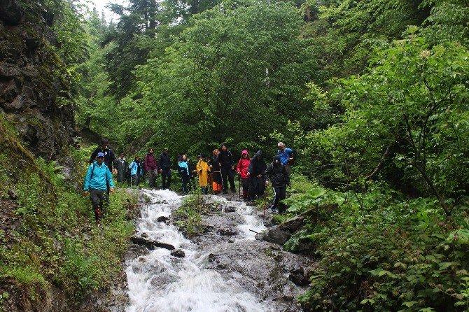 Bolu’da Yürüyüş Parkuru 2 Bin Kilometreye Çıkıyor