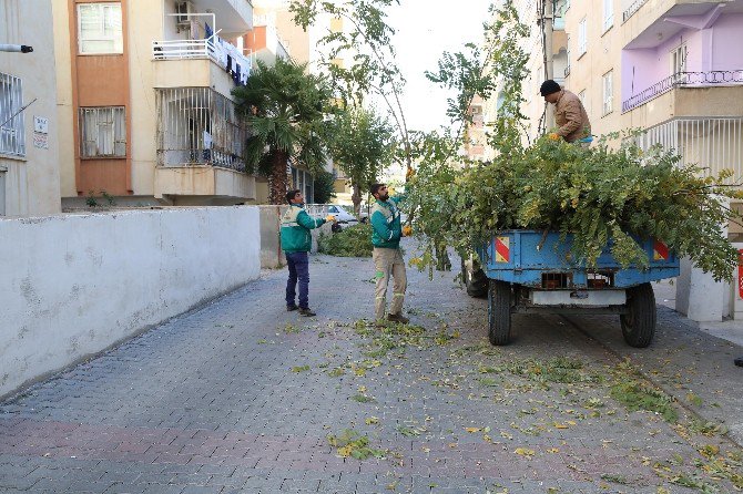 Haliliye Belediyesi Kış Mevsimine Hazırlık Yapıyor