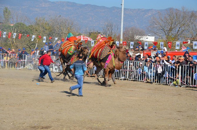 Develer Arenaya Sığmadı