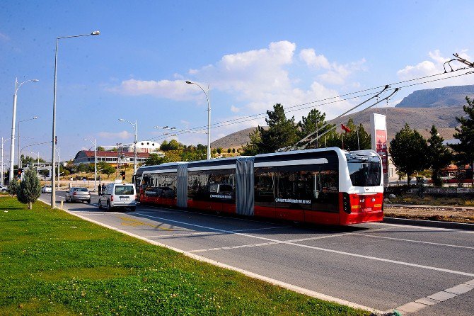 Motaş Genel Müdürü Tamgacı: