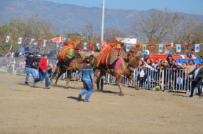 Develer Arenaya Sığmadı