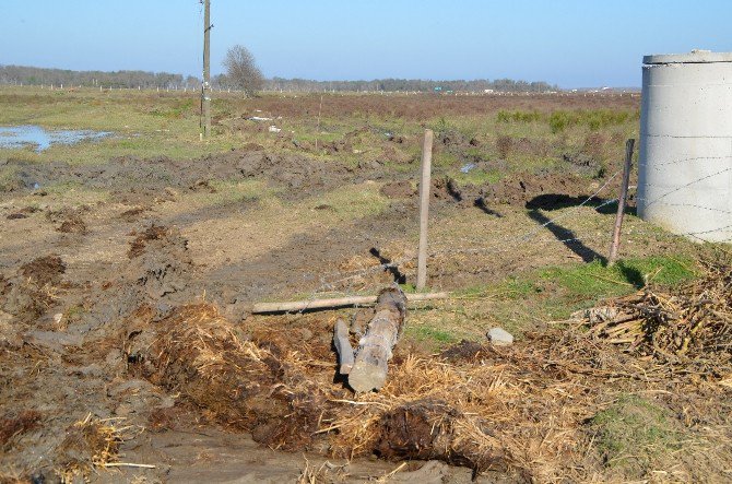 Samsun’da Mera İşgaline Son Verildi