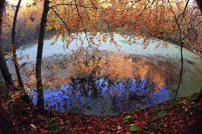 En Doğa(l) Fotoğraflarla Yedigöller Sonbaharda Büyüledi