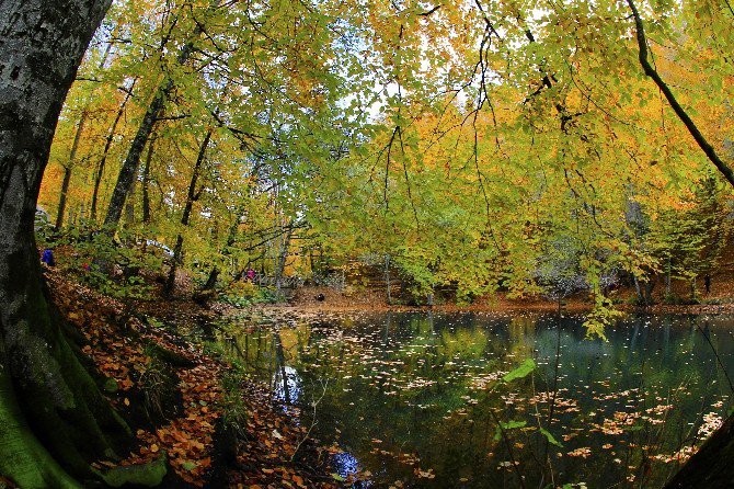 En Doğa(l) Fotoğraflarla Yedigöller Sonbaharda Büyüledi