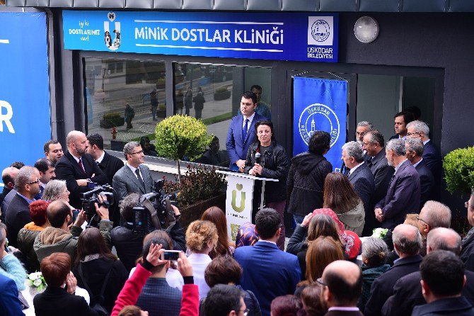 Üsküdar’da Sokak Hayvanlarına Özel Klinik Açıldı