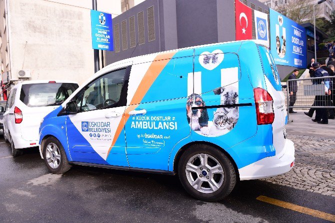 Üsküdar’da Sokak Hayvanlarına Özel Klinik Açıldı