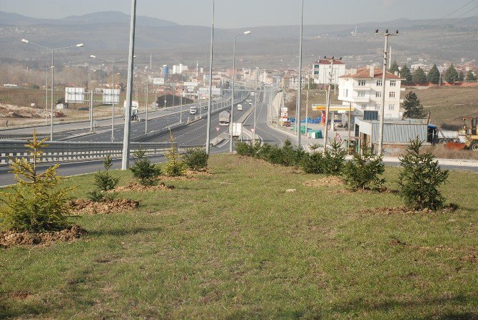 Yeşil Bir Kavak İçin Çalışmalar Sürüyor