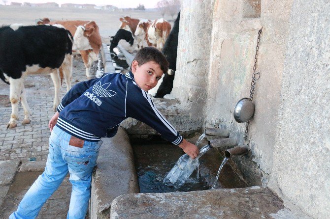 Guatr Hastalığı Olanlar Bu Çeşmeye Akın Ediyor