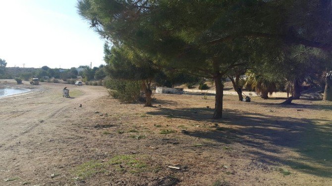 Didim’de Kıyı Temizliği