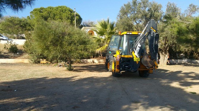 Didim’de Kıyı Temizliği