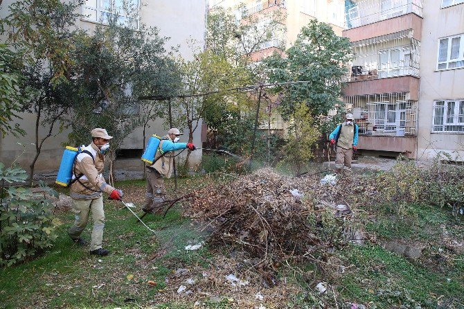 Haliliye Belediyesi Sivrisinek Kışlak Mücadelesi Başlattı